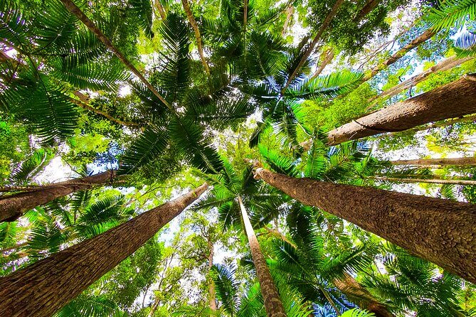 2 Day Kgari Fraser Island Small Group Camping Tour - Final Thoughts: Is It Worth It?