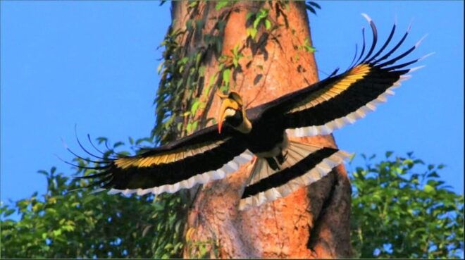 2-Day Khao Yai Trek and Nakhon Nayok: Cooking - Eco Printing - Inclusions and Amenities