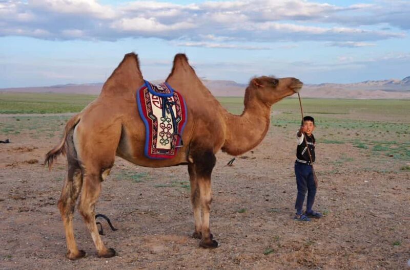 2-Day Kharkhorin Town, Granite Mountain, and Sand Dunes - Authenticity and Guest Experiences