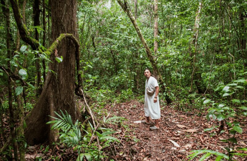 2 Day Lacandon Jungle, the Lost City and Bonampak Ruins - Practical Tips for Travelers