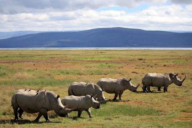 2 Day Lake Nakuru National Park Safari - Daily Departures - Good To Know