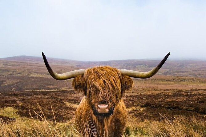 2-Day Loch Lomond, West Highlands, Glencoe & Oban Tour - Meals