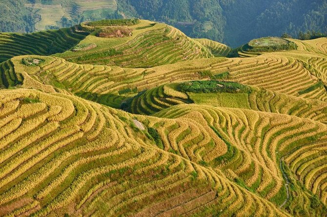 2 Day - Longji Rice Terraces - Sunrise Hiking Tour - Good To Know