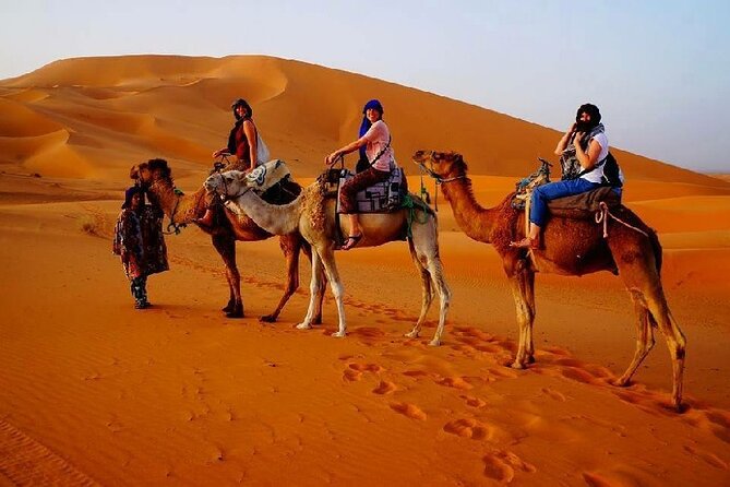 2 Day Luxury Desert Tour From Fes to Fes or Marrakech - Pickup and Start Details
