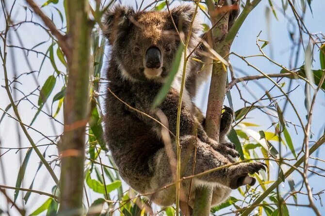 2 day Luxury Private Tour in Kangaroo Island - FAQ