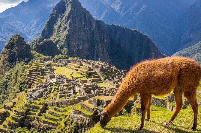 2-Day: Machu Picchu by Train From Cusco - Traveler Photos