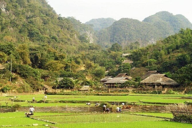 2 Day Mai Chau Classic Group Tour - The Food & Culinary Experience