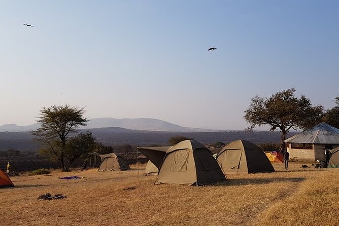 2-Day Manyara and Ngorongoro Crater Lodge Safari and Game Drive - Tour Inclusions and Exclusions
