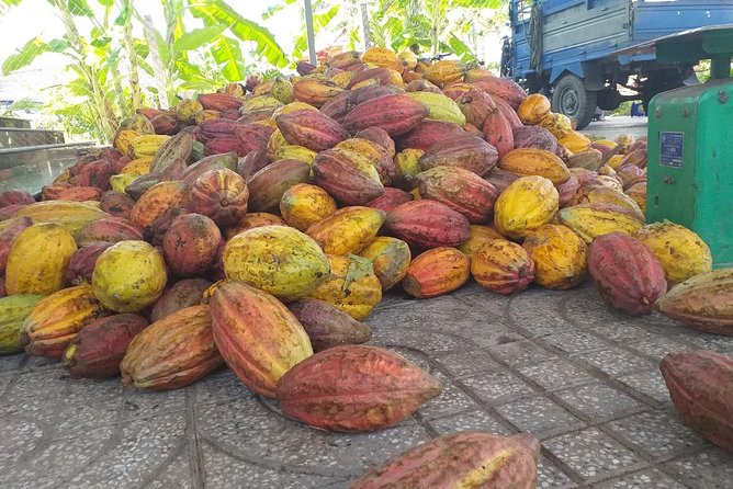 2-Day Mekong Delta - Floating Market From HCM City - Overview of the Tour