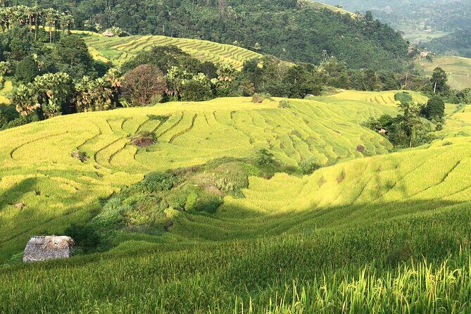 2-Day Motorbike Tour to Mu Cang Chai Loop from Sapa - Who should consider this tour?