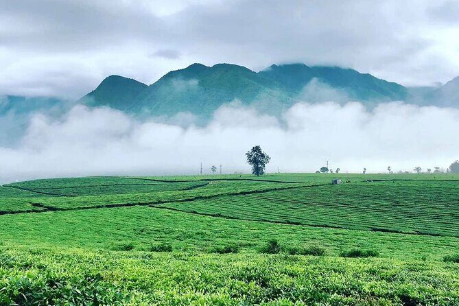 2-Day Motorbike Tour to Mu Cang Chai Loop from Sapa - Who This Tour Is Best For