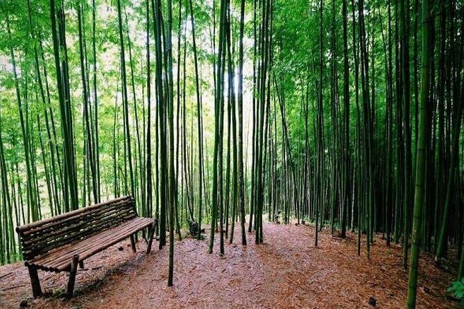 2-Day Motorbike Tour to Mu Cang Chai Loop from Sapa - FAQs