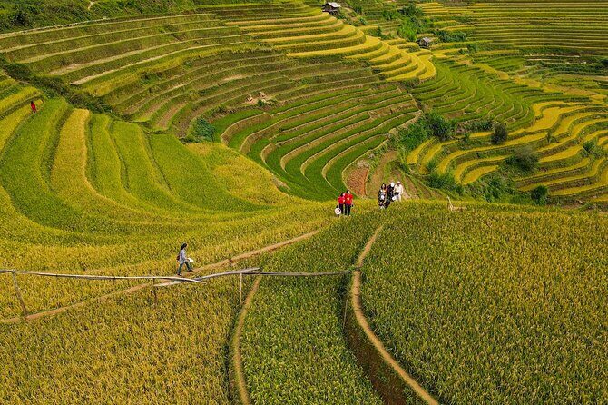 2-Day Motorbike Tour to Mu Cang Chai Loop from Sapa - Final Thoughts