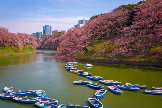 2 Day Mount Fuji and Tokyo Tour by Private Car or Wagon - Private Car or Wagon