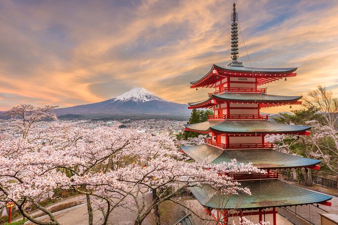 2 Day Mount Fuji and Tokyo Tour by Private Car or Wagon - Tokyo Exploration