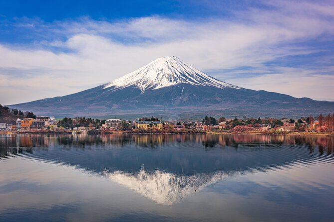 2 Day Mount Fuji and Tokyo Tour by Private Car or Wagon - Customer Testimonial