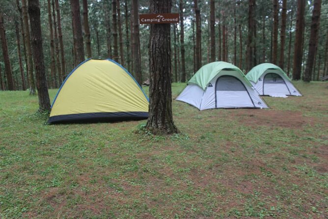 2 Day Mount Meru Private Camping Tour From Arusha - Pickup and Starting Time
