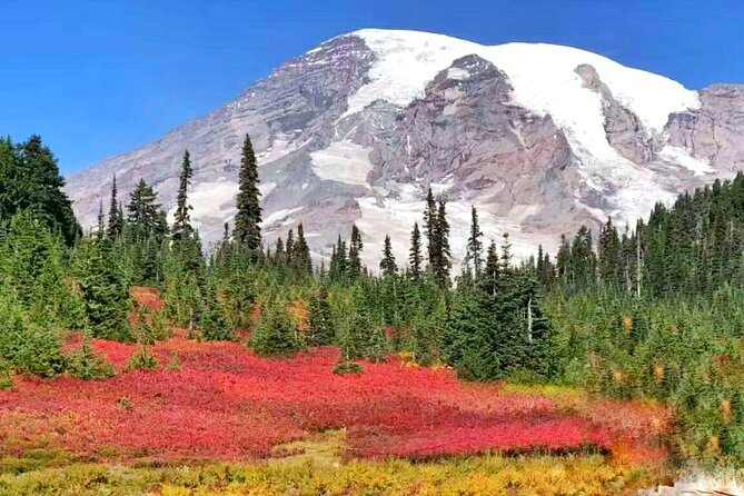 2-Day Mount Rainier & Olympic National Parks Tour From Seattle - Tour Details