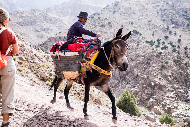 2 Day Mount Toubkal Trek ( Private Trek ) - Good To Know