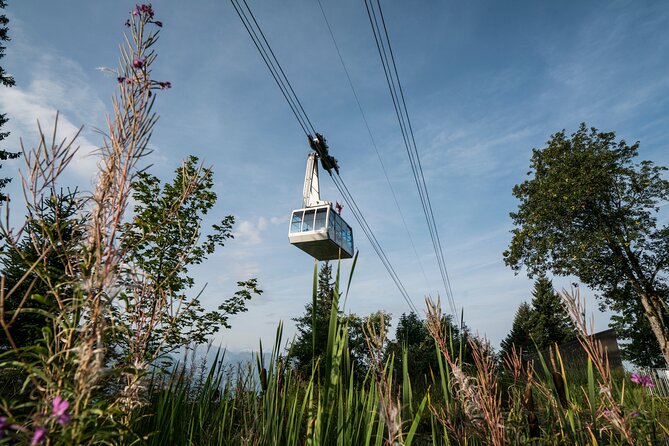 2-Day Mt Rigi Tour From Zurich Including Mineral Baths and Lake Lucerne Cruise - Cancellation Policy