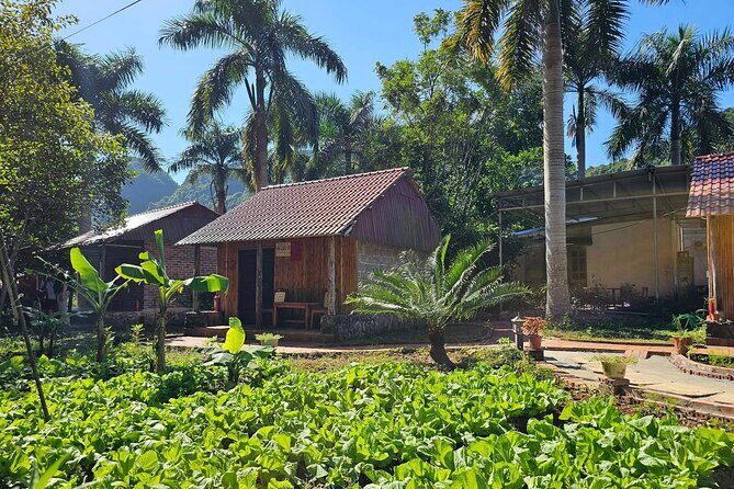 2 Day Navy Peak Trekking, Viethai Village and Ha Long Bay Cruise - What We Love About This Tour