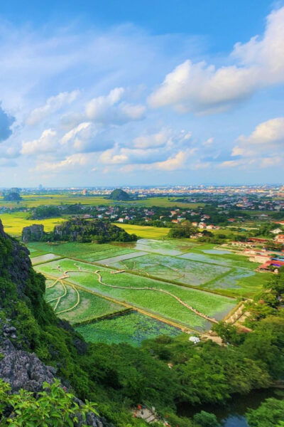 2-Day Ninh Binh: Hoa Lu, Tam Coc, Mua Cave & Cuc Phuong - Experience Highlights