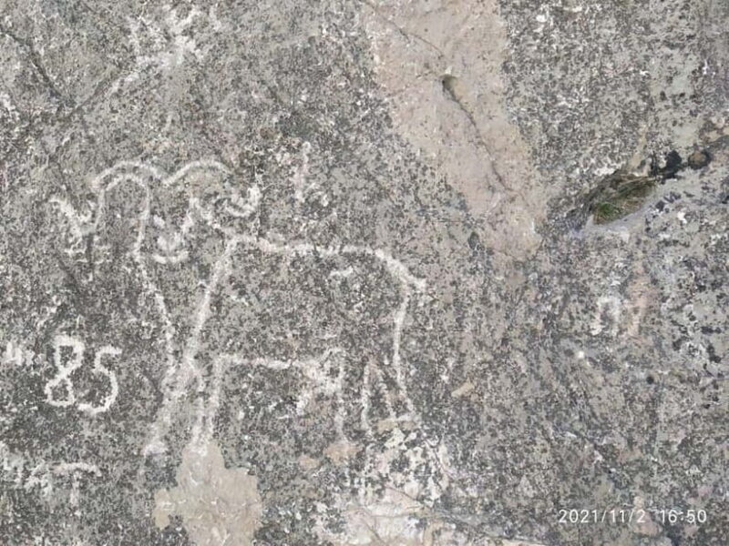 2-Day Nuratau Mountain Tour to Sentob Village from Bukhara. - Authentic Experiences That Make This Tour Stand Out