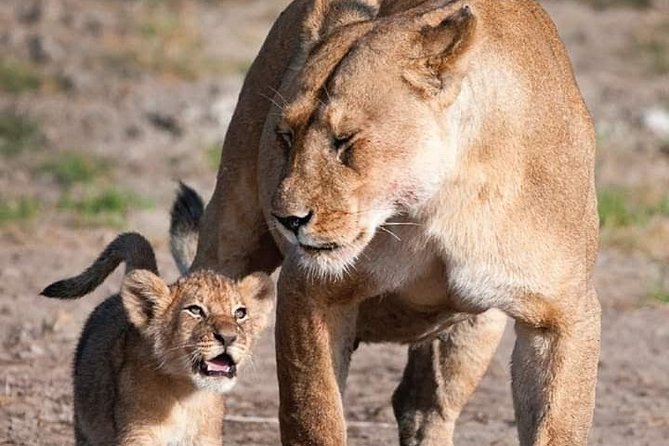 2-Day Ol Pejeta Conservancy Guided Safari Tour From Nairobi - Additional Information