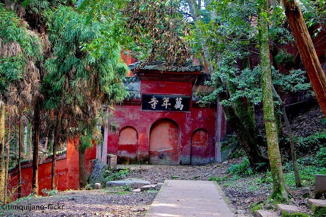 2-Day Panda Base plus Leshan Giant Buddha and Emei Mountain Tour - Good To Know