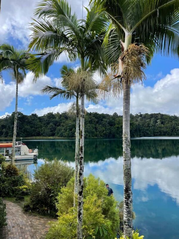 2-Day Paronella Park & Tablelands Tour+Cape Tribulation Tour - Final Thoughts