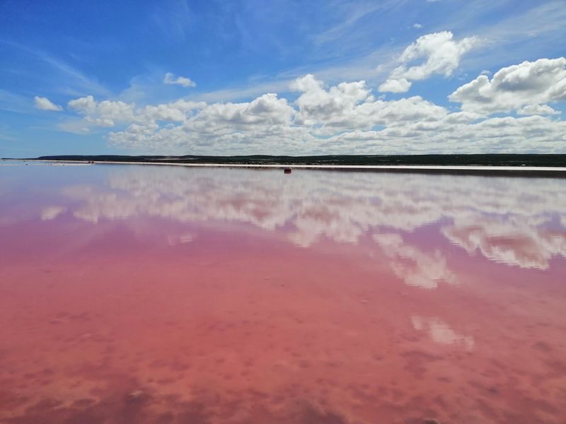 2 Day Pink Lake and Kalbarri Tour - At a glance: pink water, big distances, small group