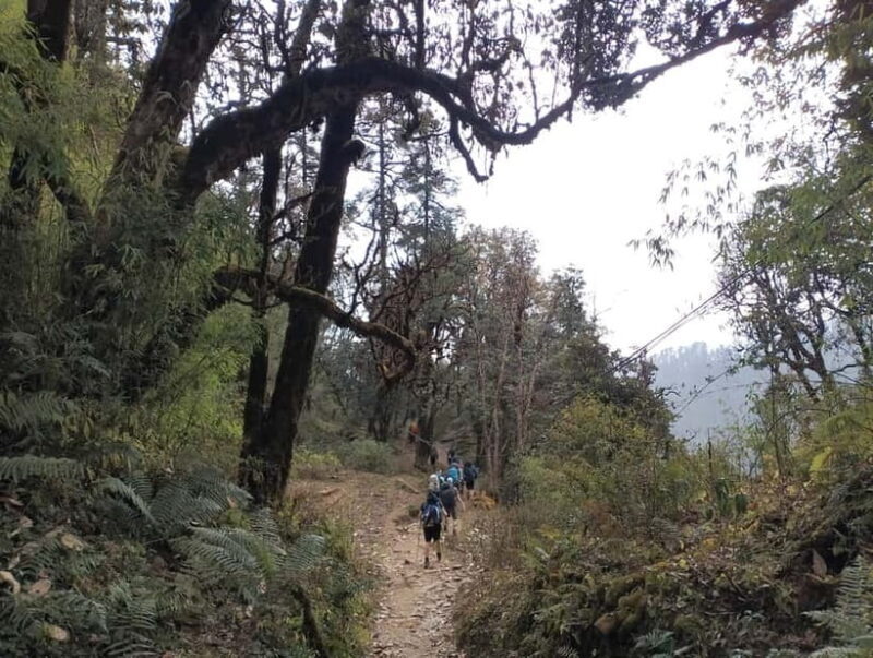 2-Day Poon Hill Hike: Catch the Best Sunrise in Nepal - The Sum Up