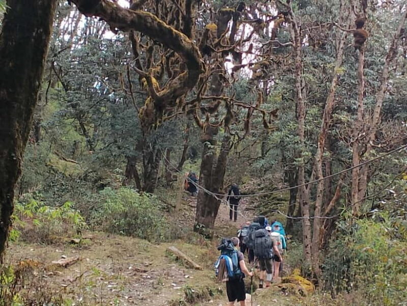 2-Day Poon Hill Hike: Catch the Best Sunrise in Nepal - FAQ
