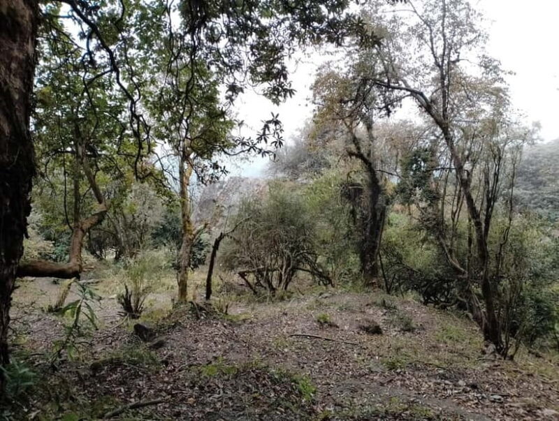 2 Day Poon Hill Trek with 2 Day Chitwan Jungle Safari Tour - Practical Details & Considerations