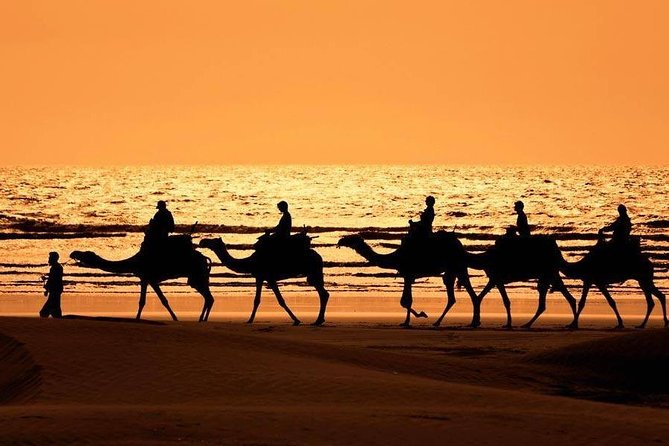 2-Day Private Atlantic Coast Tour From Marrakech to Agadir - Transportation Logistics