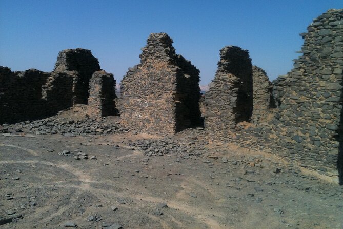 2-Day Private Bahariya Oasis Tour From Cairo and Giza Hotels - Reviews