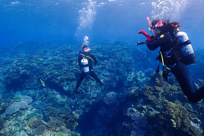 2-Day Private Deluxe Certification Course for Scuba Diving - Course Requirements