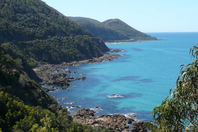 2-Day Private Great Ocean Road Tour - Accommodation and Amenities