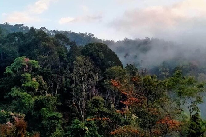 2-Day Private Guided Chiang Dao Trekking and Hidden Village Adventure - Immersive Cultural Experience in Hidden Villages