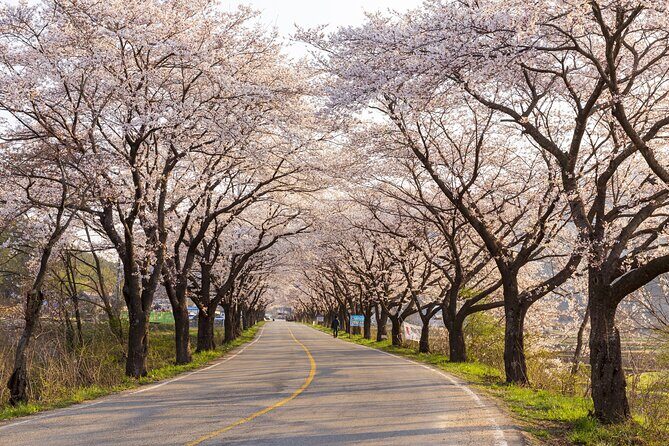 2 Day Private Jeju Island Tour - The Sum Up