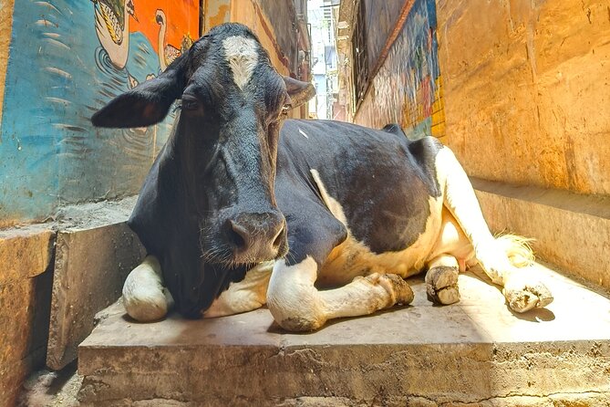 2 Day Private Mystical Varanasi Tour - Meeting Point