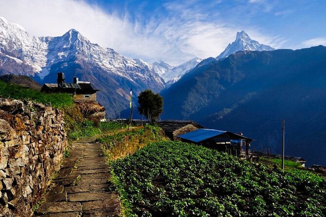 2 Day Private Panchase Trek Tour From Pokhara - Inclusions