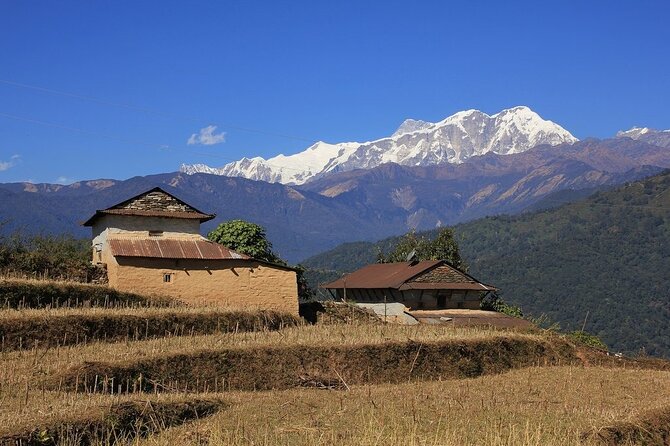 2 Day Private Panchase Trek Tour From Pokhara - Common Questions