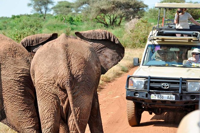 2 Day Private Safari in Lake Manyara and Ngorongoro Crater National Park - Frequently Asked Questions
