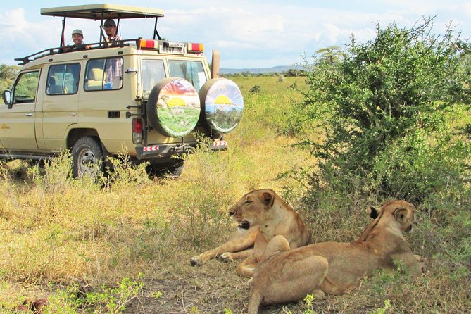 2 Day Private Safari in Lake Manyara and Ngorongoro Crater National Park - The Sum Up