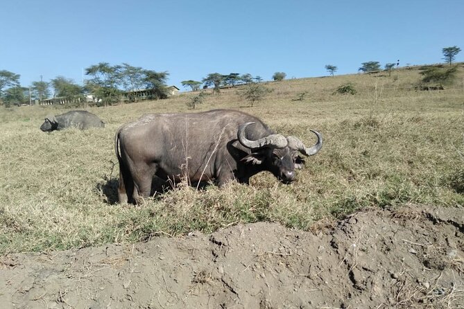 2-Day Private Safari to Lake Nakuru and Hells Gate Parks - Accommodation Details