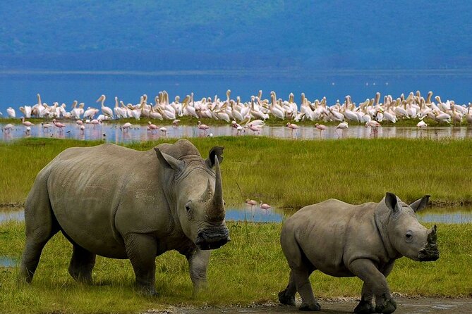 2-Day Private Safari to Lake Nakuru and Hells Gate Parks - Safari Highlights