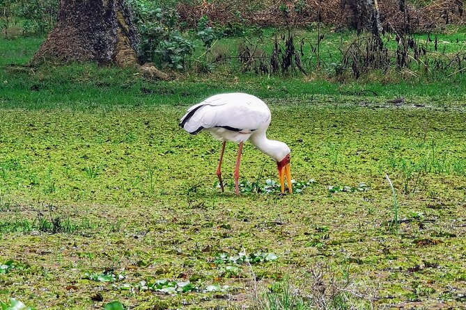 2-Day Private Safari to Lake Nakuru and Hells Gate Parks - Packing List