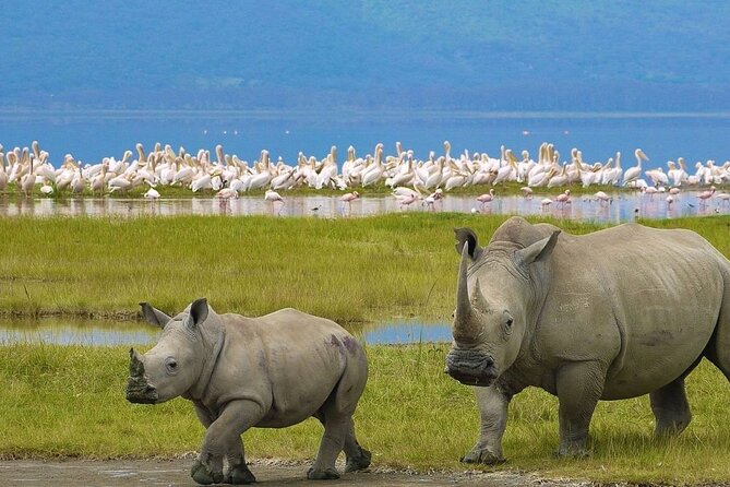 2-Day Private Safari to Lake Nakuru and Hells Gate Parks - Frequently Asked Questions