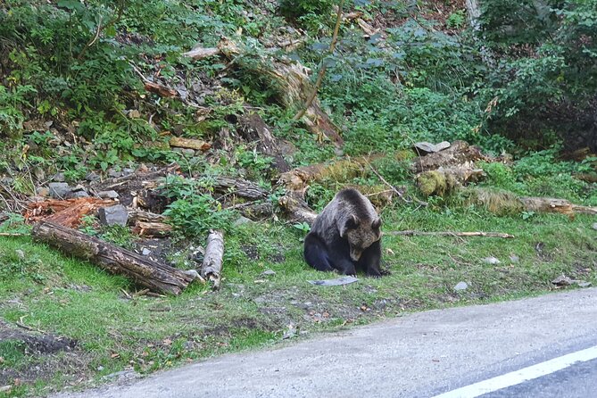 2-Day Private Tour From Bucharest in Transylvania From Bucharest - Accommodation Details